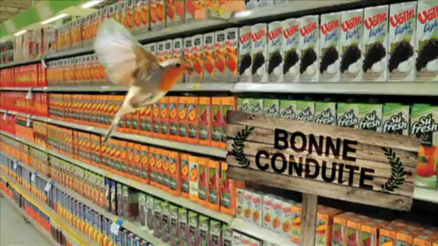 Sous l arbre le mag info de nos forêts