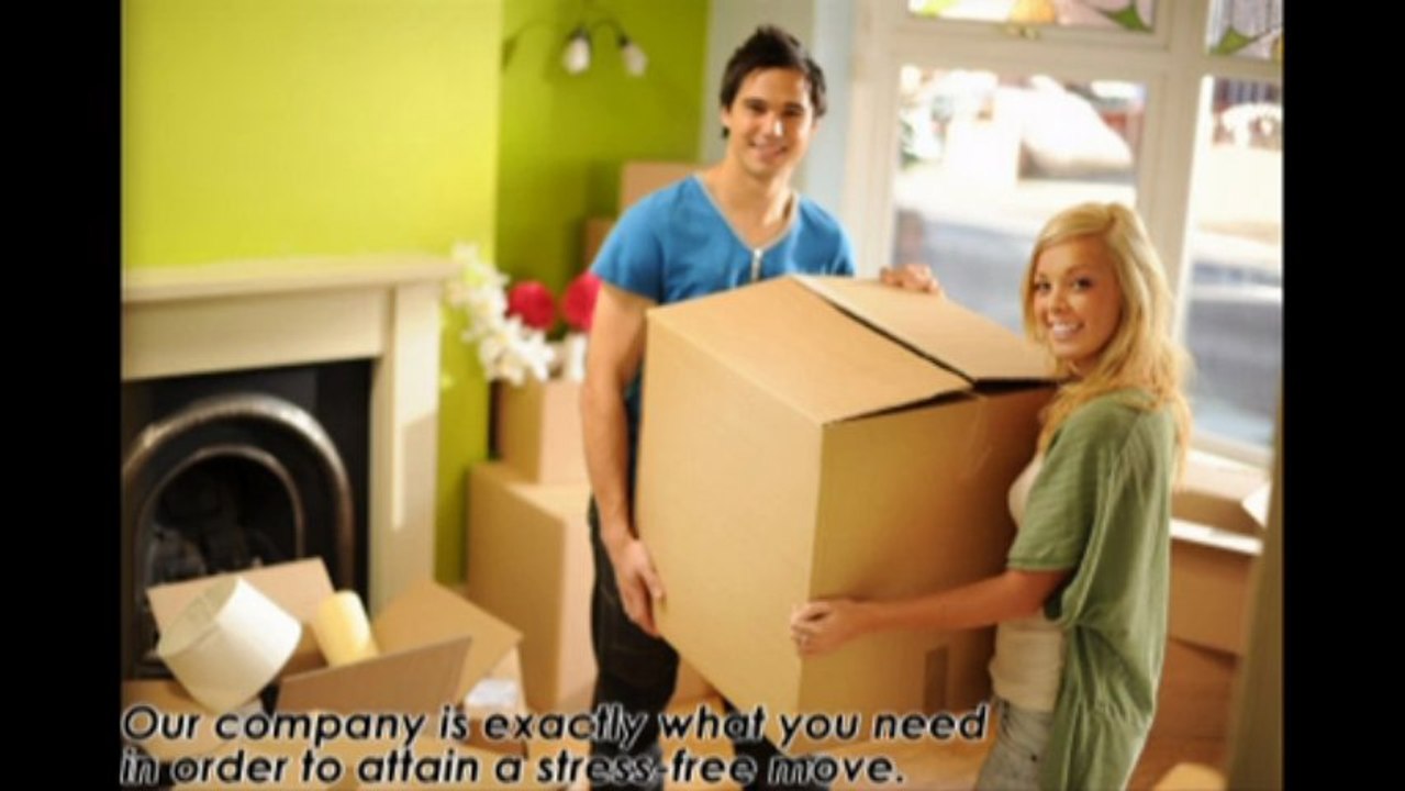 Netherlands Removals