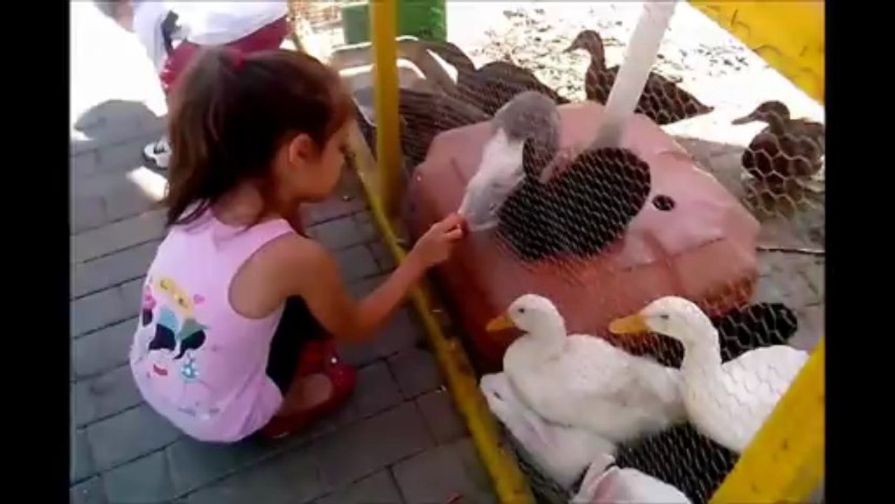 karacabey'in bir hayvanat bahçesine gereksinimi var.