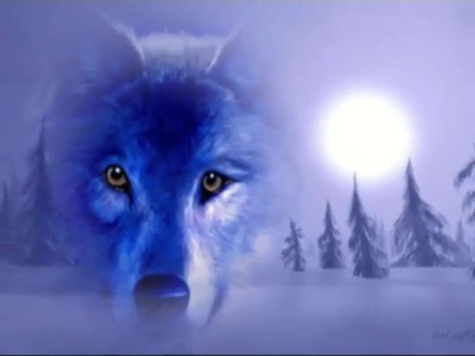 Mon Film sur les Loups
