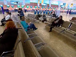 Четвероногие друзья ловят преступников