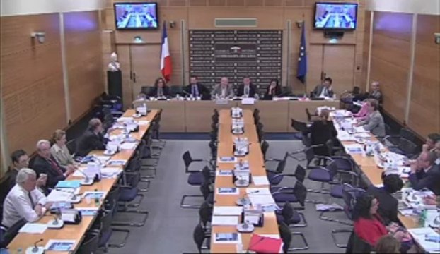 Intervention de Philippe GOUJON relative à la répartition des conseillers de Paris