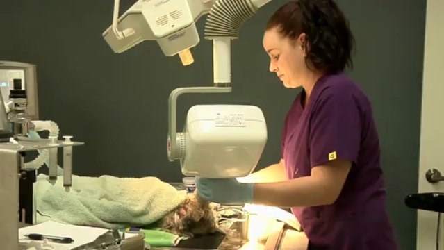 Welcome to Friendship Pet Hospital