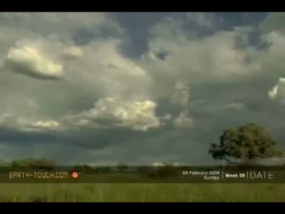 Video Campaign 99 I hope you enjoy this video campaign today. This is for testing and only for the developer.