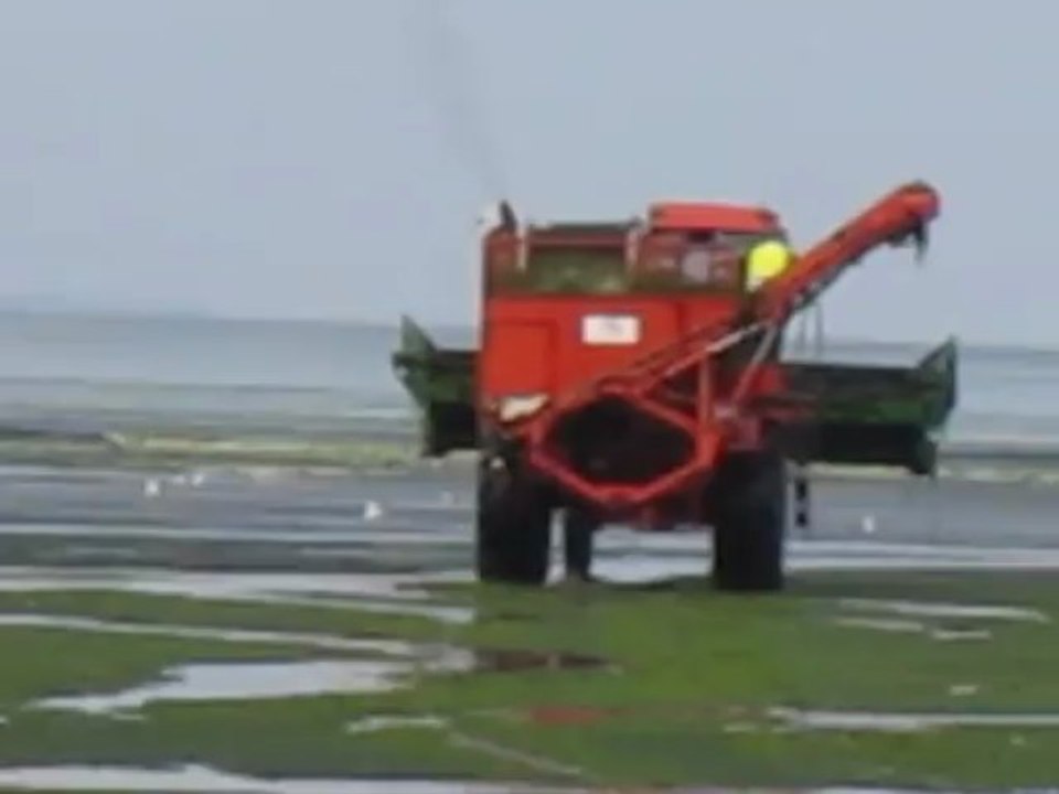 Ramassage expérimental d'algues vertes "dans le rideau" par la société Agrival