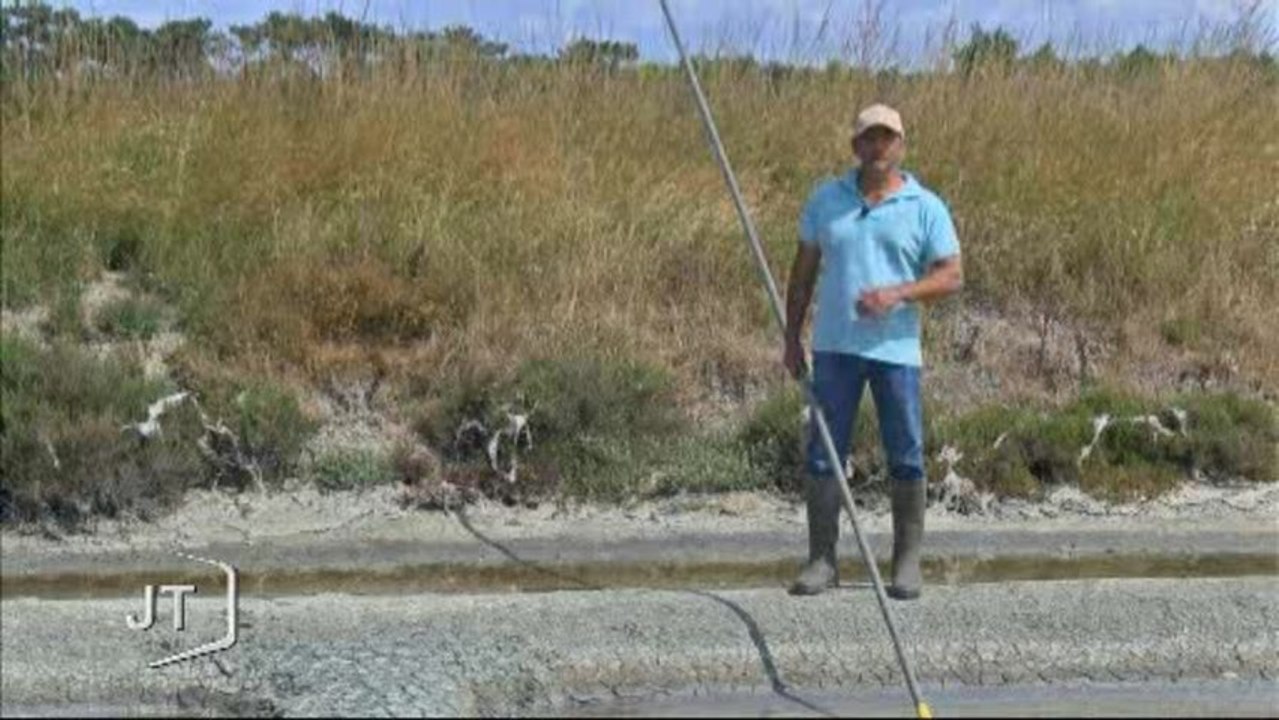 La récolte de sel approche (Noirmoutier-en-l'Île)