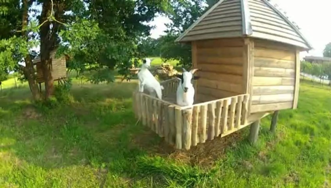 flocon et neige aux cabanes perchees dans les arbres