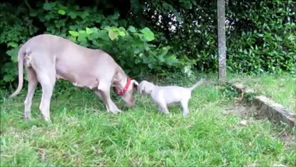 Les 2 monstres en action!!!