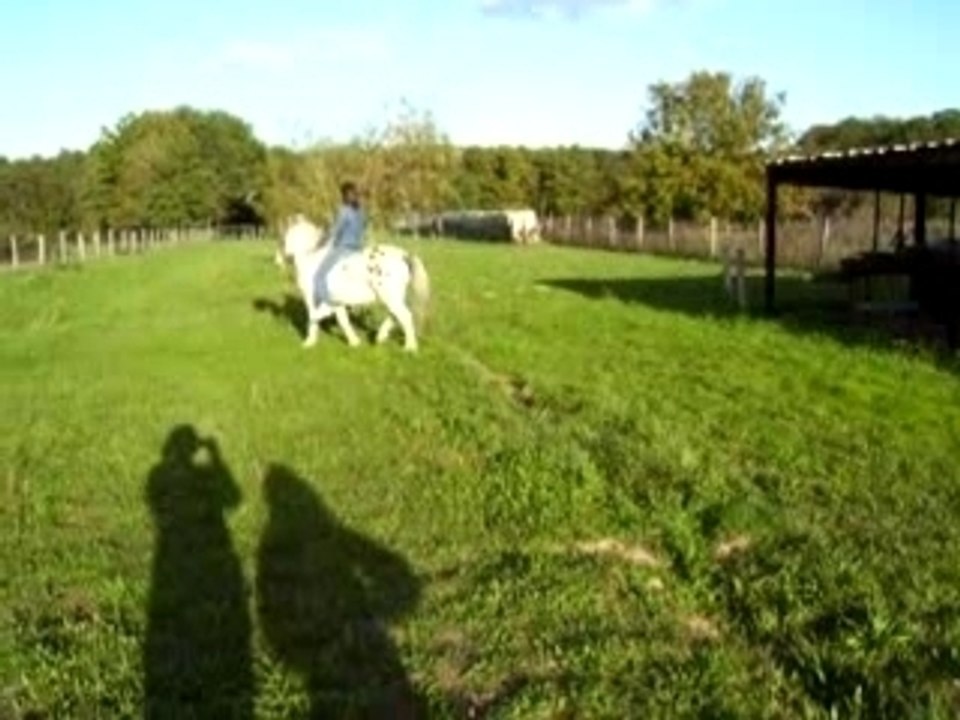 Apache et emilie