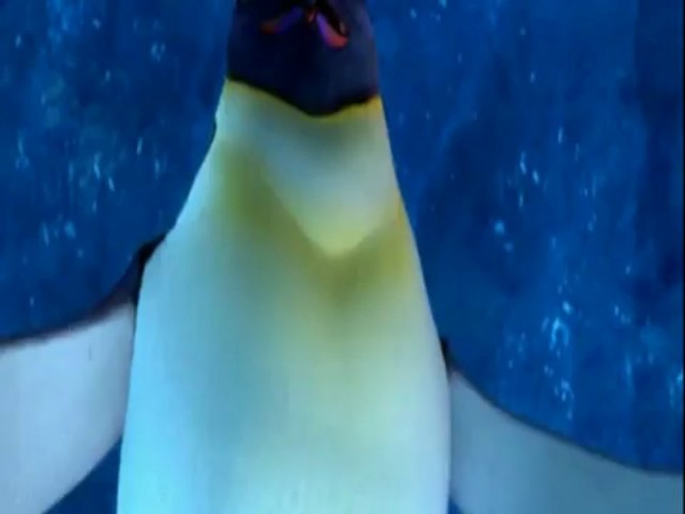 videoplayback_6