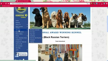 Give Heavenly Rest In Dog Day Care