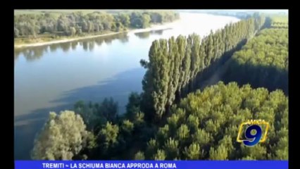 Tremiti | La schiuma bianca approda a Roma