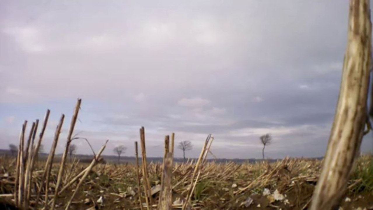 vit et drone
