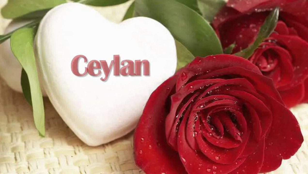 AŞKA DAVET EDİYORUM