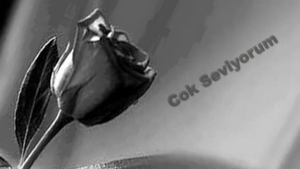 Çok Seviyorum - Melek & Bayram Şenpınar