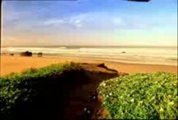 K-Fee Beach Surfer Commercial - Feat Family Humama