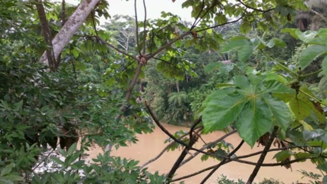 Equateur : le peuple Kichwa de Sarayaku : le peuple du midi