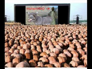 DENONCIATOR-zoulou nique ta mère !
