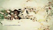 Video Backgrounds - Animated Backgrounds - Video Loops - Trippy 05