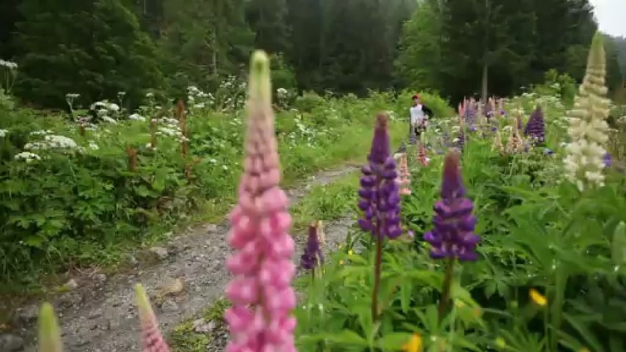 Cross du Mont-Blanc - Chamonix Marathon et Cross du Mont-Blanc 2013