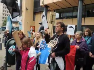 Closing dolphinariums Partie 5