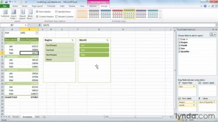 1103 Modifying a PivotTable