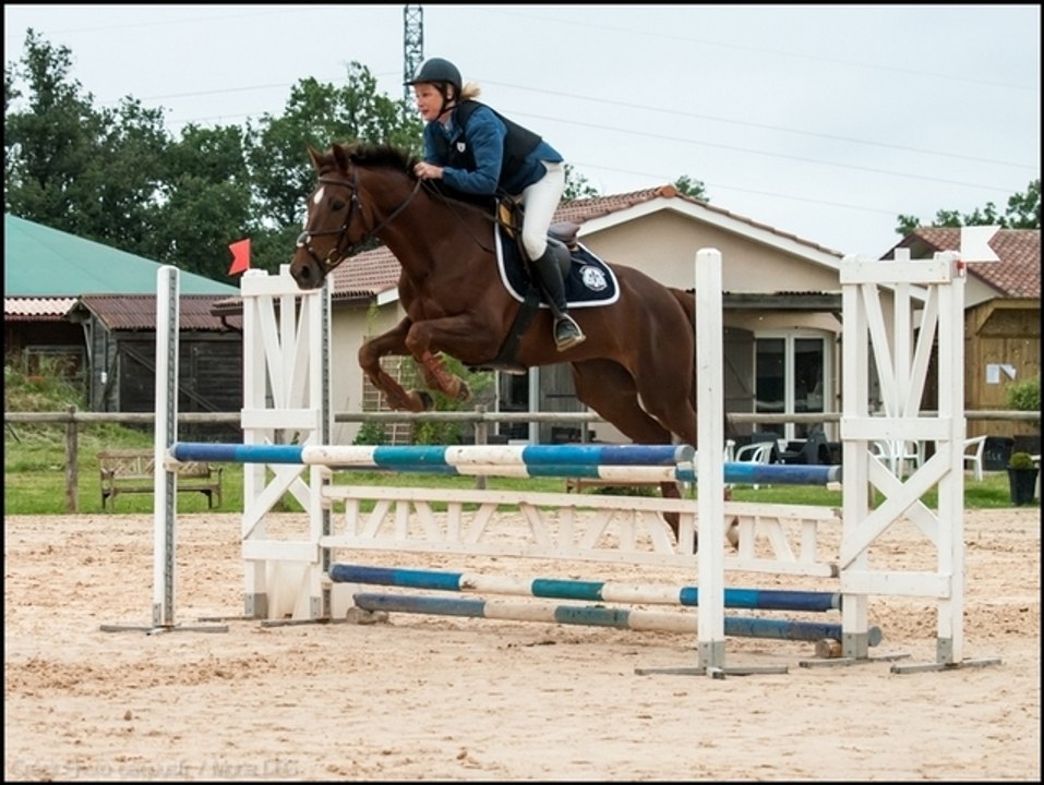 Sybelle du Piévinfran - Sans pénalité