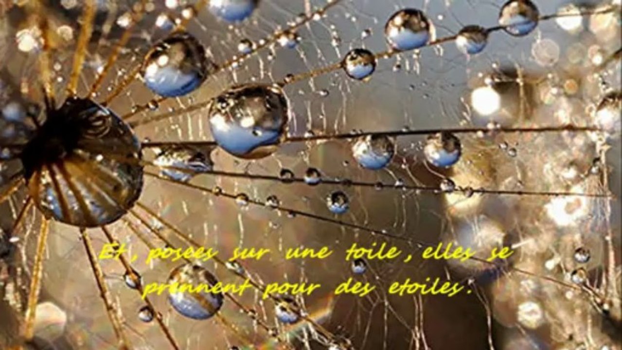 Goutte de vie