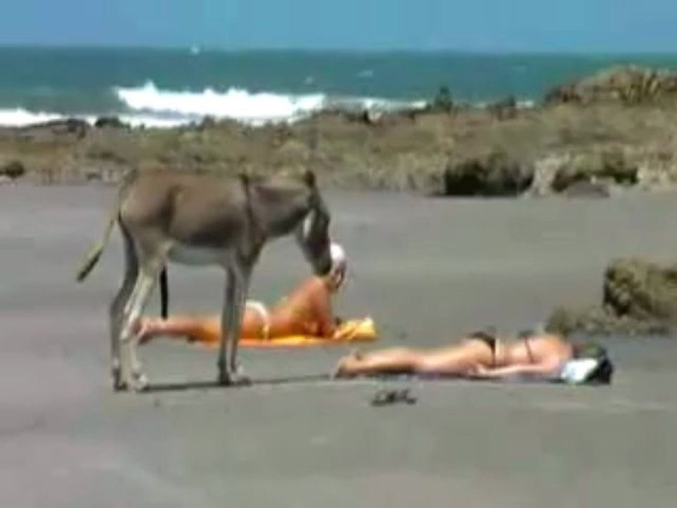 Bikinigirls am Strand