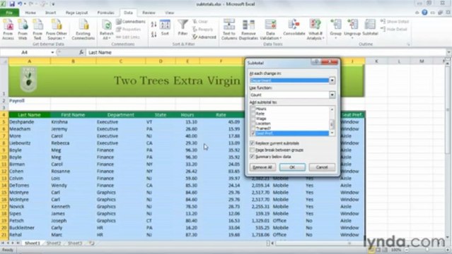 0905 Inserting automatic subtotals