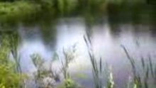Видео-0009
