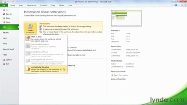 0802 Setting workbook permissions