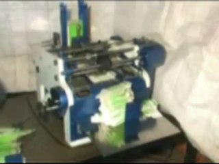 AUTOMATIC CARTON BATCH PRINTING MACHINE.