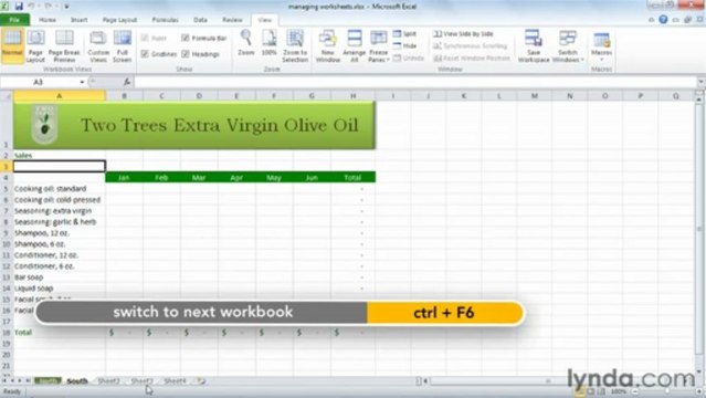 0706 Managing worksheets