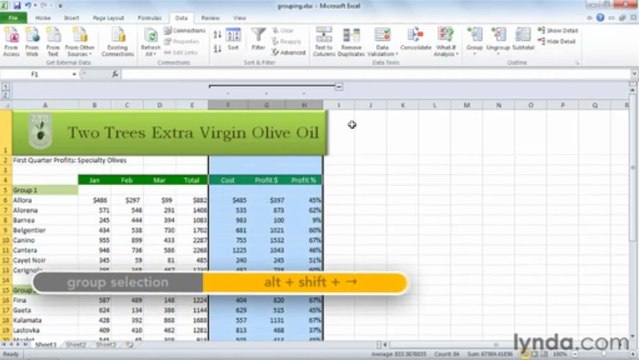0705 Hiding or grouping rows and columns