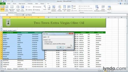 0704 Creating multiple custom worksheet views