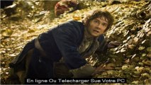 Le Hobbit la Désolation de Smaug Download Watch With DVD Quality