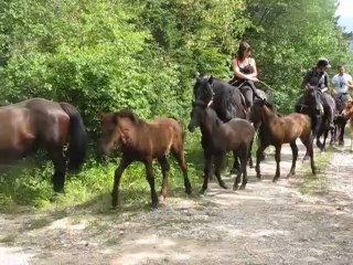 Vers le col de Menée...