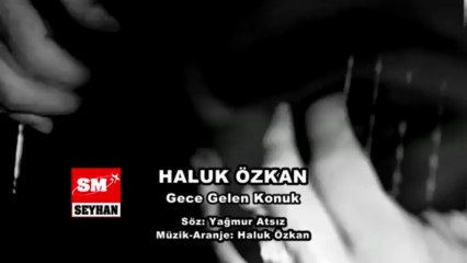 Haluk Özkan- Gece Gelen Konuk
