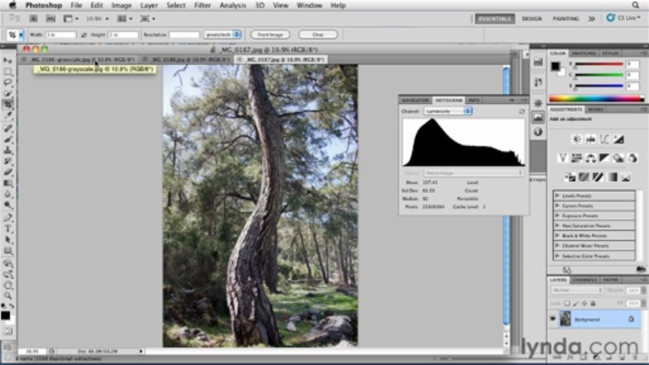 Foundations of Photography Black and White-03Shooting in Black and White-01What Is Black-07ExpForBW