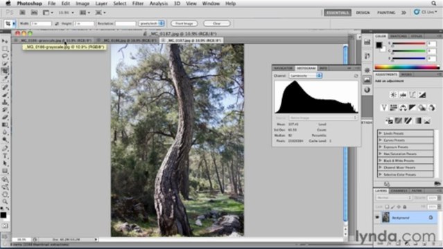 Foundations of Photography Black and White-03Shooting in Black and White-01What Is Black-07ExpForBW