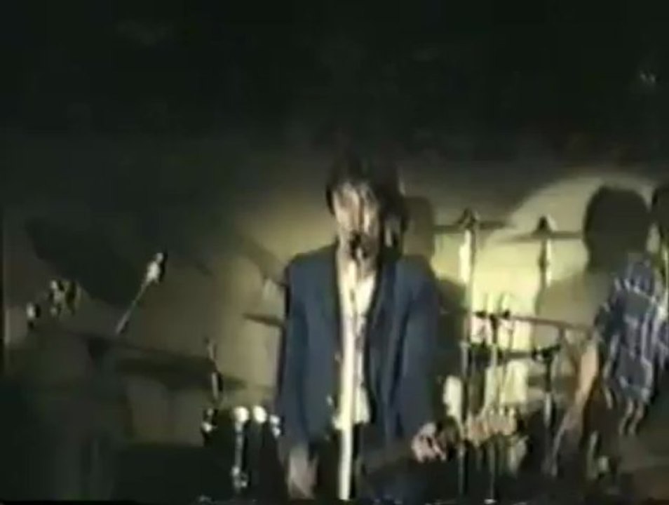 The Roosters-新型セドリック
