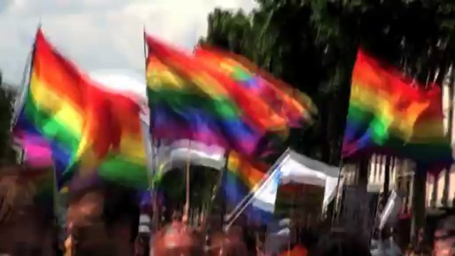Paris (France) 29/06/2013 Jack Lang à la Gay Pride © LTL News