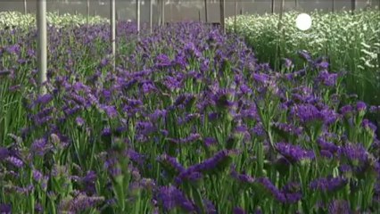 L'Equateur rend la Russie responsable du sort d'Edward...