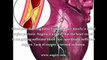 Angina Pectoris With Myocardial Infarction - What Is The Best Treatment For Angina Pectoris With Myocardial Infarction?
