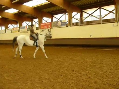 à dada sur mon cheval