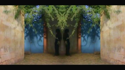 YAPA - Le Pas Sage Des Voies Ferrées