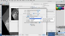 Foundations of Photography Black and White-05Printing in Black and White-03PrintDialog