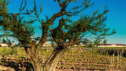 Oceans Of The Moon -  Edit With New Scenes