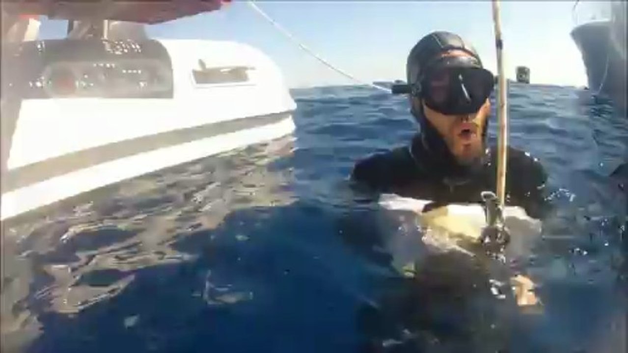 -43m poids variable